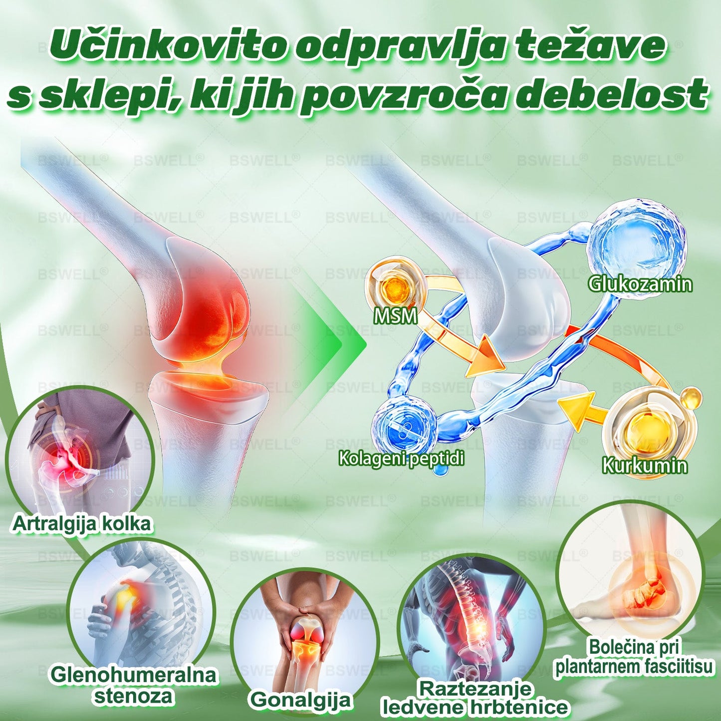 🎁 Na voljo je samo še 5 škatel! Zagotovite si dodatnih 50 % popusta.  Ohranite zdravo in uravnoteženo postavo 💚  Če zamudite zdaj, takšne priložnosti prihodnje leto morda ne bo več.