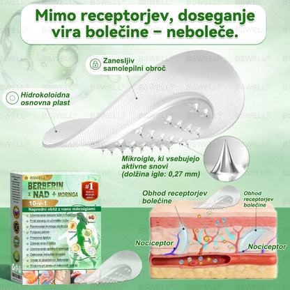 📢BSWELL® Nano mikroneedling shujševalni obliž (Samo enkrat na dan, vidne spremembe v 28 dneh)  ✅ Za debelost, zdravje srca in ožilja, sladkorno bolezen, spalno apnejo, zdravje črevesja, težave s sklepi in še več.
