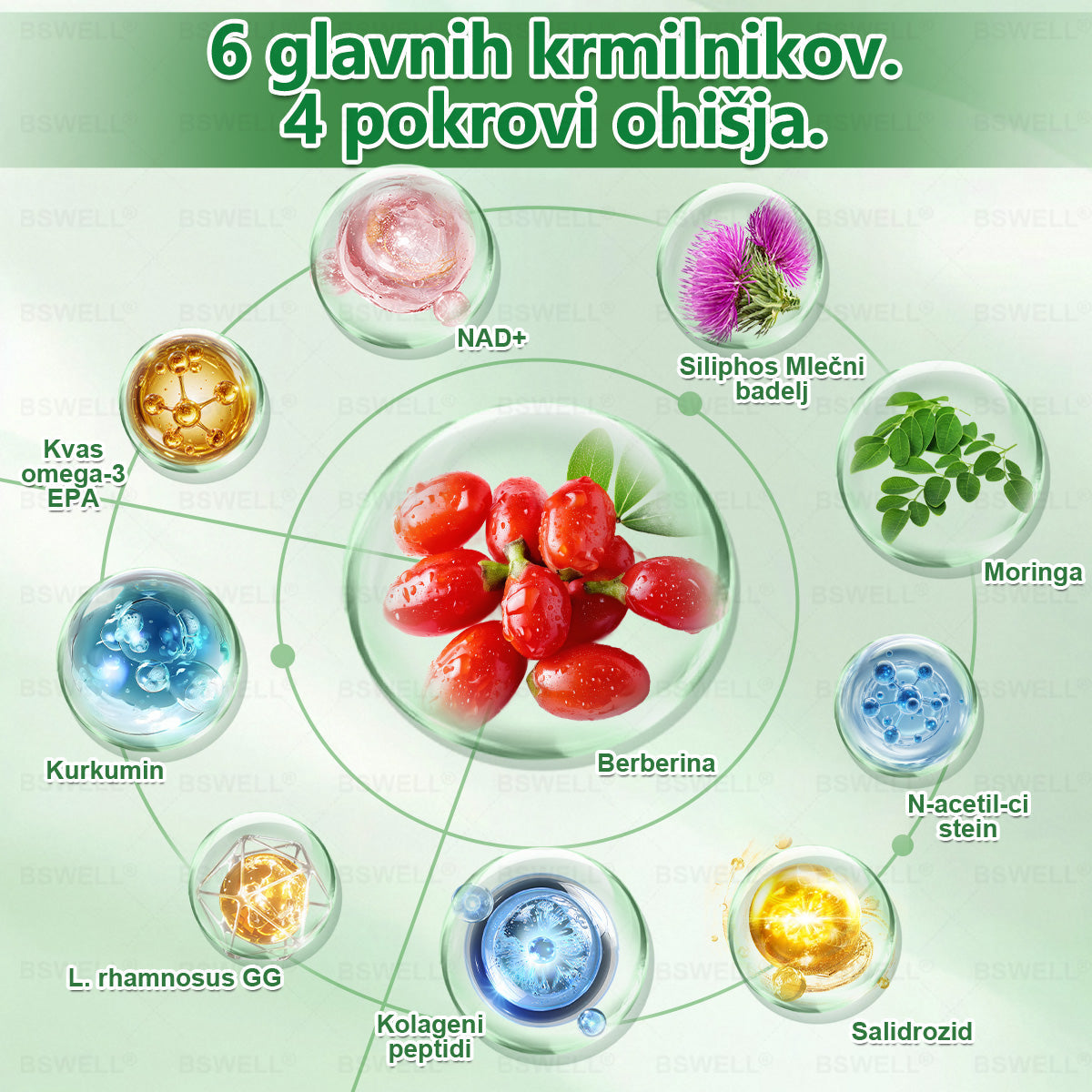 🎁 Na voljo je samo še 5 škatel! Zagotovite si dodatnih 50 % popusta.  Ohranite zdravo in uravnoteženo postavo 💚  Če zamudite zdaj, takšne priložnosti prihodnje leto morda ne bo več.